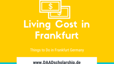 Photo of Living Cost, Sight Seeing and Things to do in Frankfurt