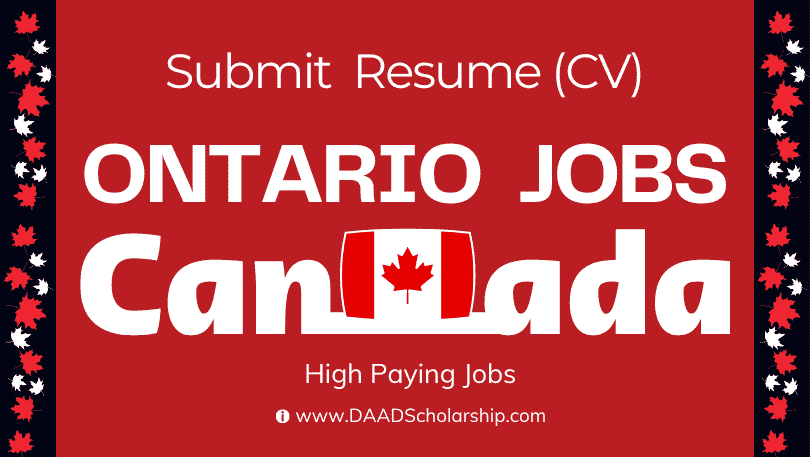 Jobs in Ontario Canada for International Applicants With VISA (2023)