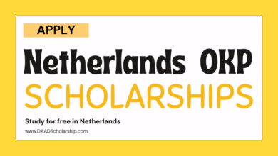 Photo of Orange Knowledge Programme (OKP) Scholarships 2023 by Netherlands