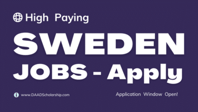 Photo of Jobs in Sweden 2023 | Average Salaries & Required Qualifications