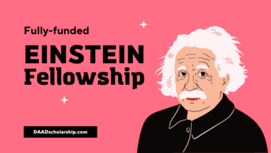Photo of Einstein Fellowships 2024 in Germany Without IELTS and TOEFL