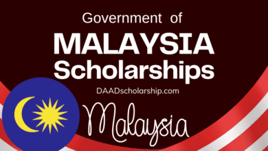 Malaysia International Scholarships MIS 2024 For International   Malaysia International Scholarships MIS 2024 For International Students 390x220 