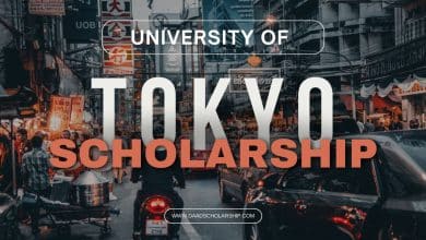 Get Ready for University of Tokyo MEXT Scholarship 2025 Recommendations