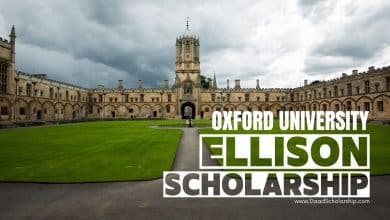 Ellison Scholarship 2024 at Oxford University