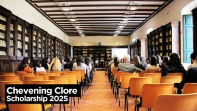 Chevening Clore Leadership Fellowship 2025 - Accepting Applications Online