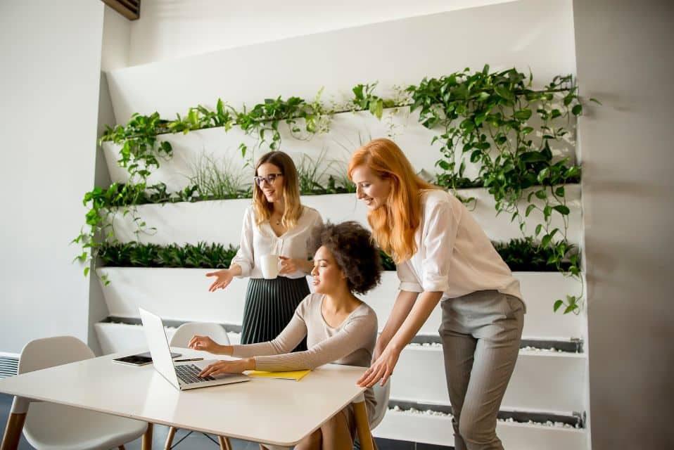 Internship Programme in Jersey (ECP) 2025 Accepting New Applications