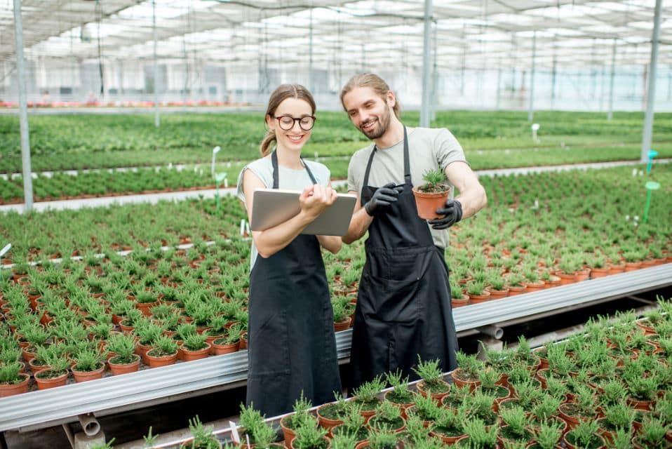 Nordic Natural Science Research Scholarship 2025 by Research Council of Finland Announced
