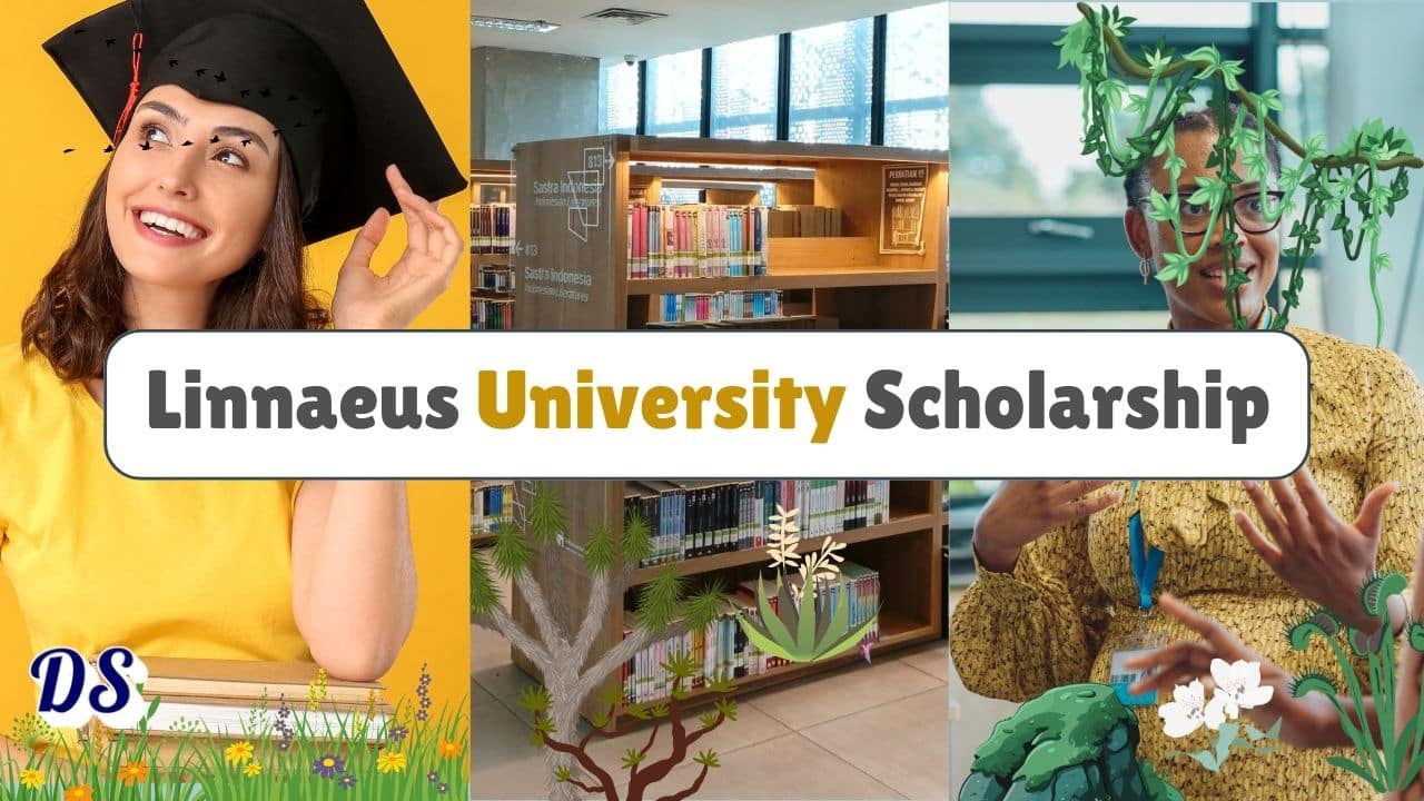 Linnaeus University Scholarship 2026 in Sweden Opens for International Master’s Students