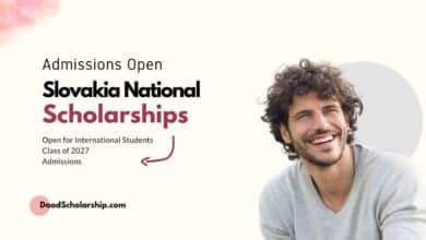 Slovakia National Scholarship Program (NSP) 2027 Application Method Detailed